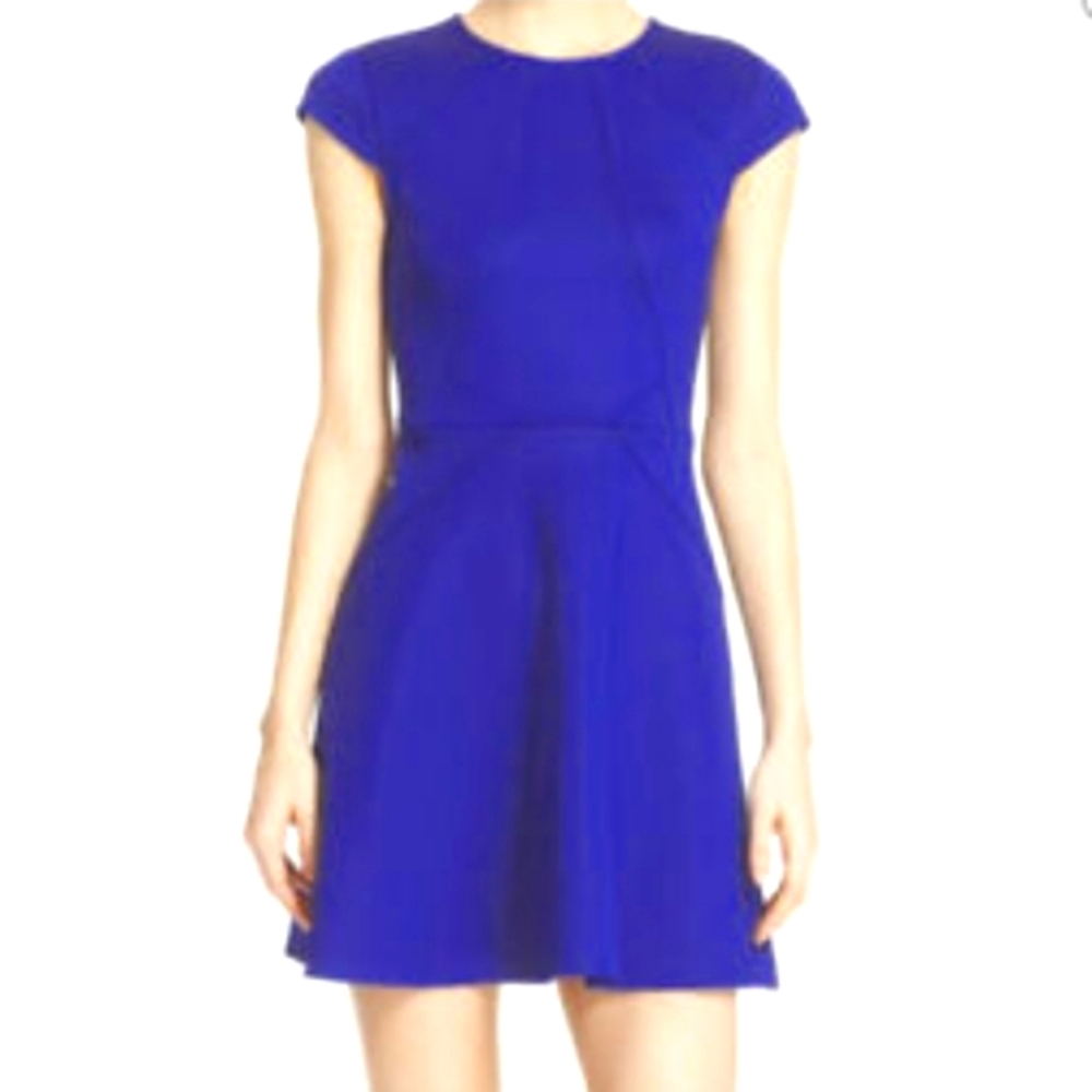 Ted Baker skater dress
